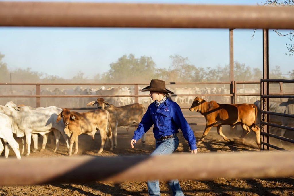 Home An Adventurous Agriculture Career
