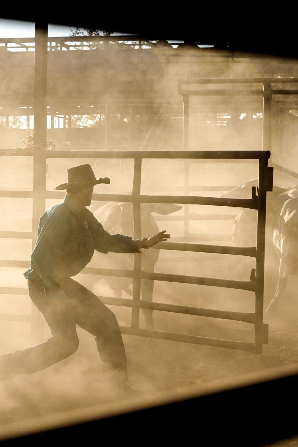 Careers 4 Vert for Birrindudu