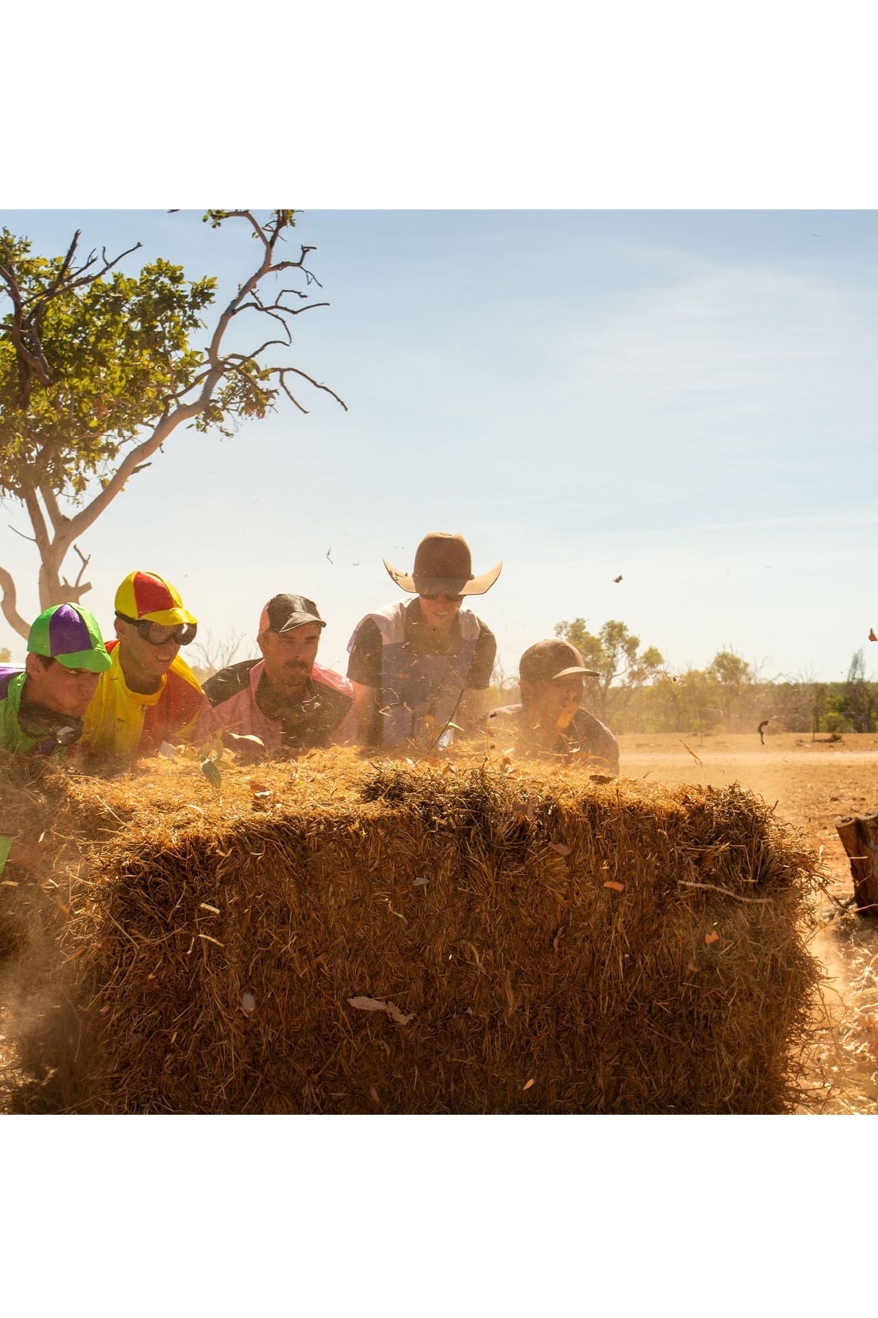 Careers 10 bulls head